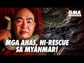 GMA News Feed: Mga ahas, ni-rescue sa Myanmar!