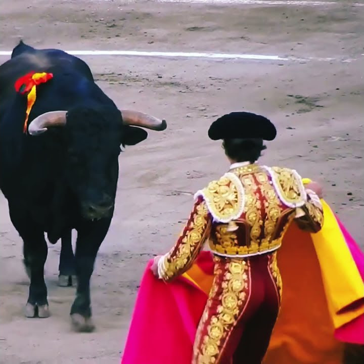 Ay, Matador! 💃🏽