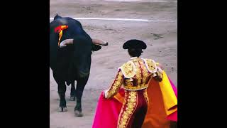 Ay, Matador! 💃🏽