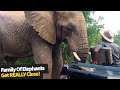 Extreme close encounter with a family of elephants.