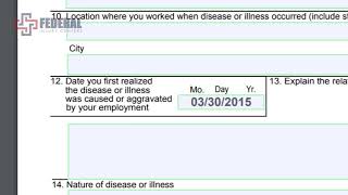 How to Fill In a CA 2