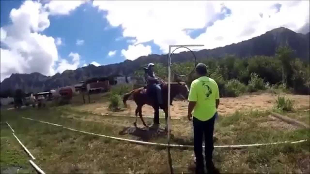 Adaptive Riding at Manawale'a Riding Center