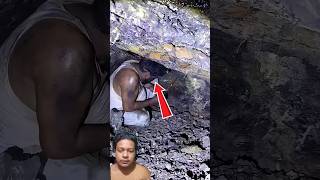 Cute Puppy 🥰 🥰 Like & Subscribe #facts #shorts #trending #viral