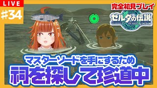 【#ゼルダの伝説TotK】#34 マスターソード入手の為、祠探しの珍道中🌳御主むむ】