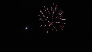 5 Inch Glittering Gold Willow Fireworks Shell