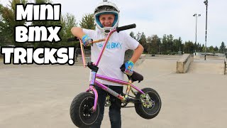 Please subscribe and follow on insta!! @caidenbmx you guys have been
messaging me insta wanting to take my mini bmx bike the skatepark try
do...