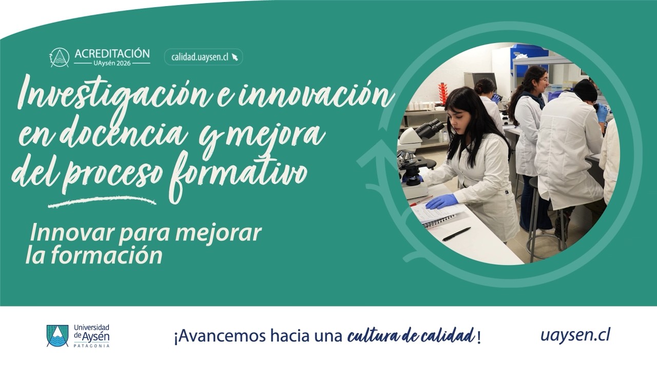Investigación e innovación en docencia y mejora del proceso formativo