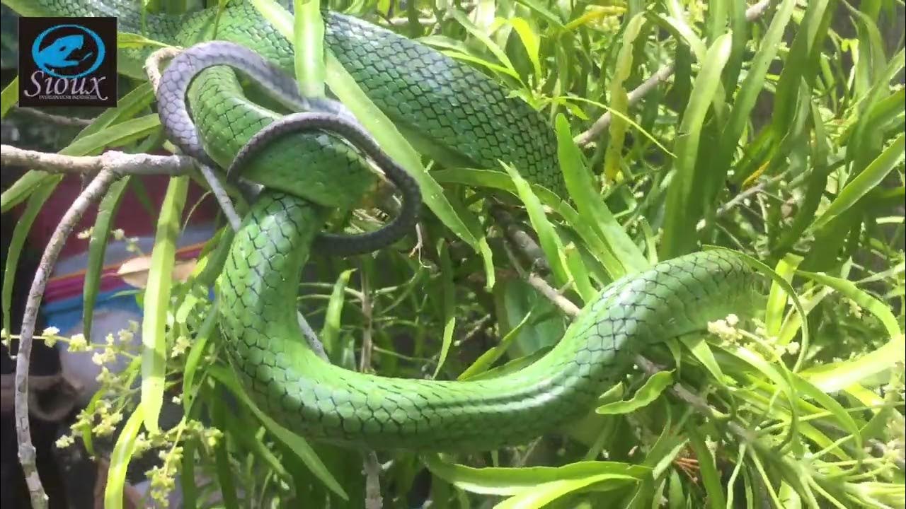 Anal fisting buzuq porno rasmlar