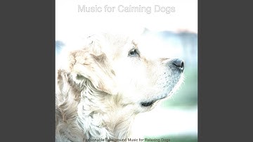 Pulsating Backdrops for Puppies