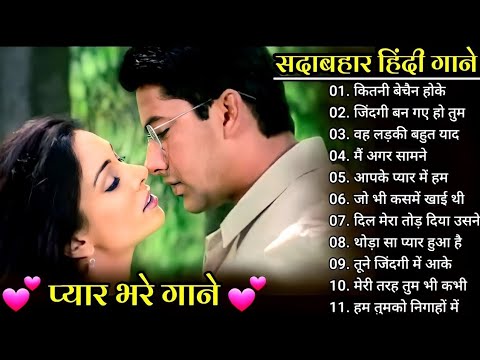 90s 80s Songs      Evergreen Songs  Udit Narayan  Alka Yagnik Songs