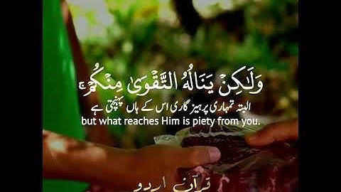 لن ينال الله لحومها ولا دمائها القارئ رعد الكردي