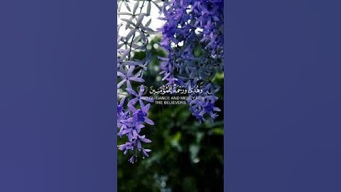 سورة يونس الآية(56/57/58) #هو_يحيي_ويميت #القارئ_شريف_مصطفى