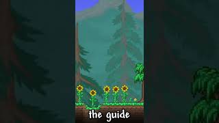 Things You Didn't Know About The Guide NPC! (Terraria 1.4.4)
