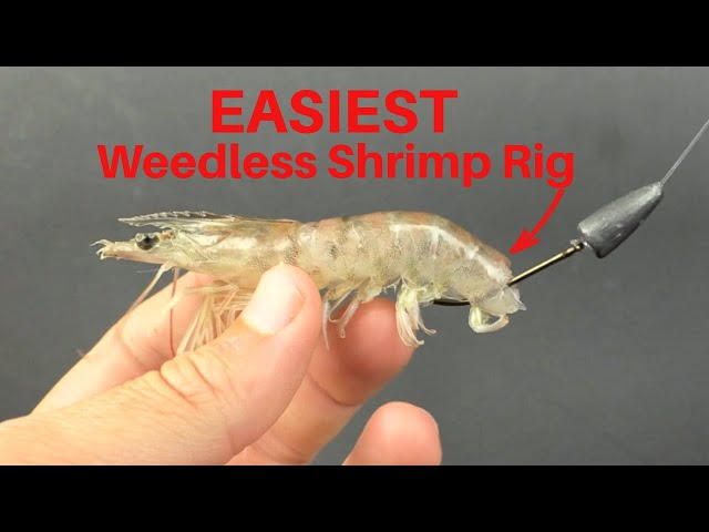 The Easiest Way To Make A Weedless Shrimp Rig 