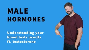 Testosterone blood test explained, and your other male hormones.