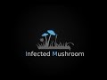 Infected Mushroom - Full Concert @ A2 [Live SPB] by Hempton | Video Production Studio