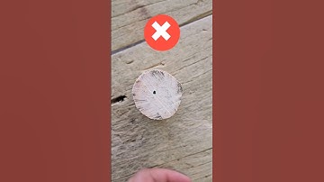 How can you easily and accurately find the center of a round workpiece? #shorts #tricks #woodworking