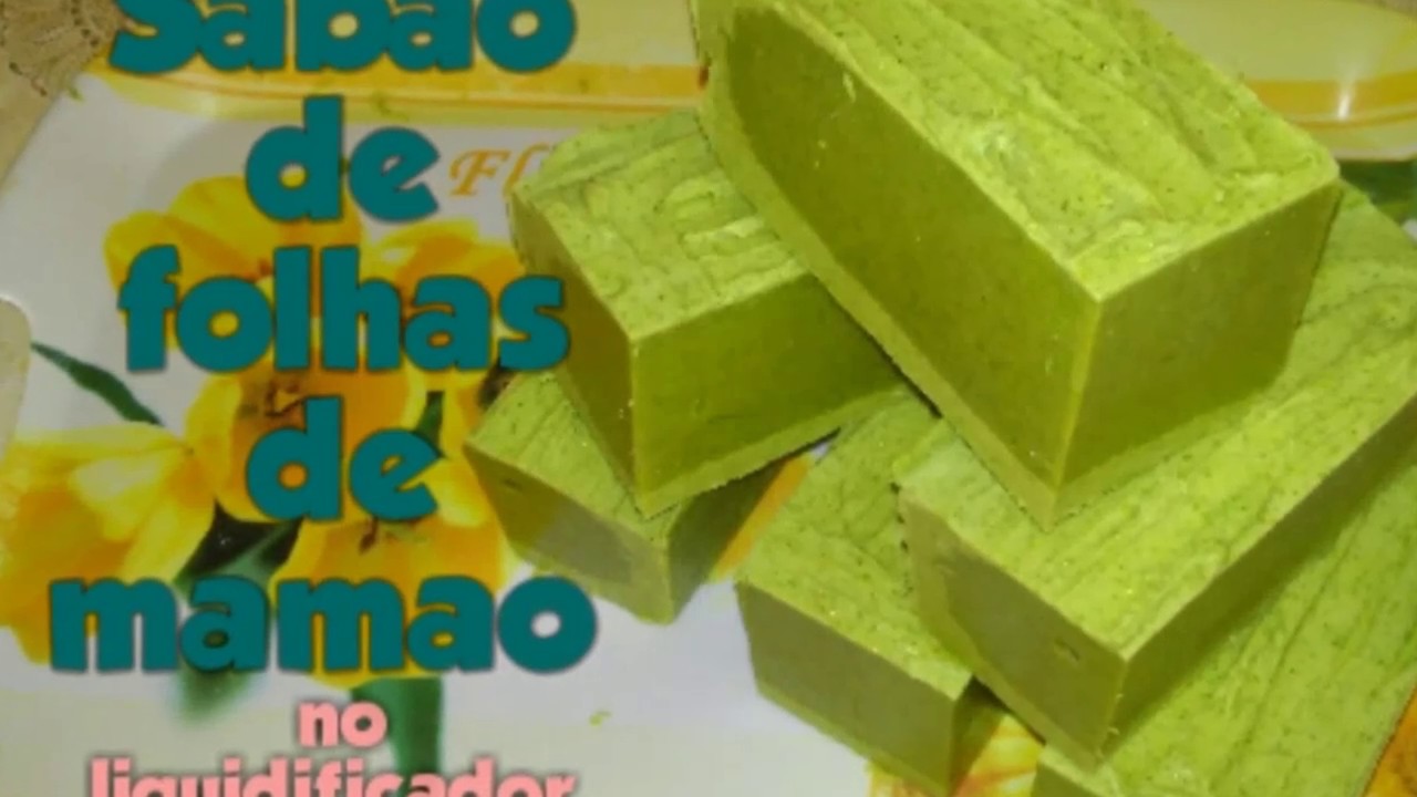 SABÃO DE FOLHAS DE MAMÃO NO LIQUIDIFICADOR
