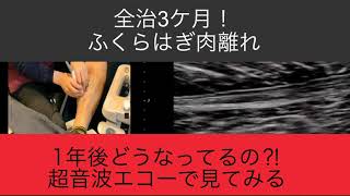過去の事例 新浦安しんもり整骨院 今川院