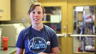 Montana not immune to nationwide veterinarian shortage