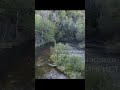 Дальний Восток Рыбалка