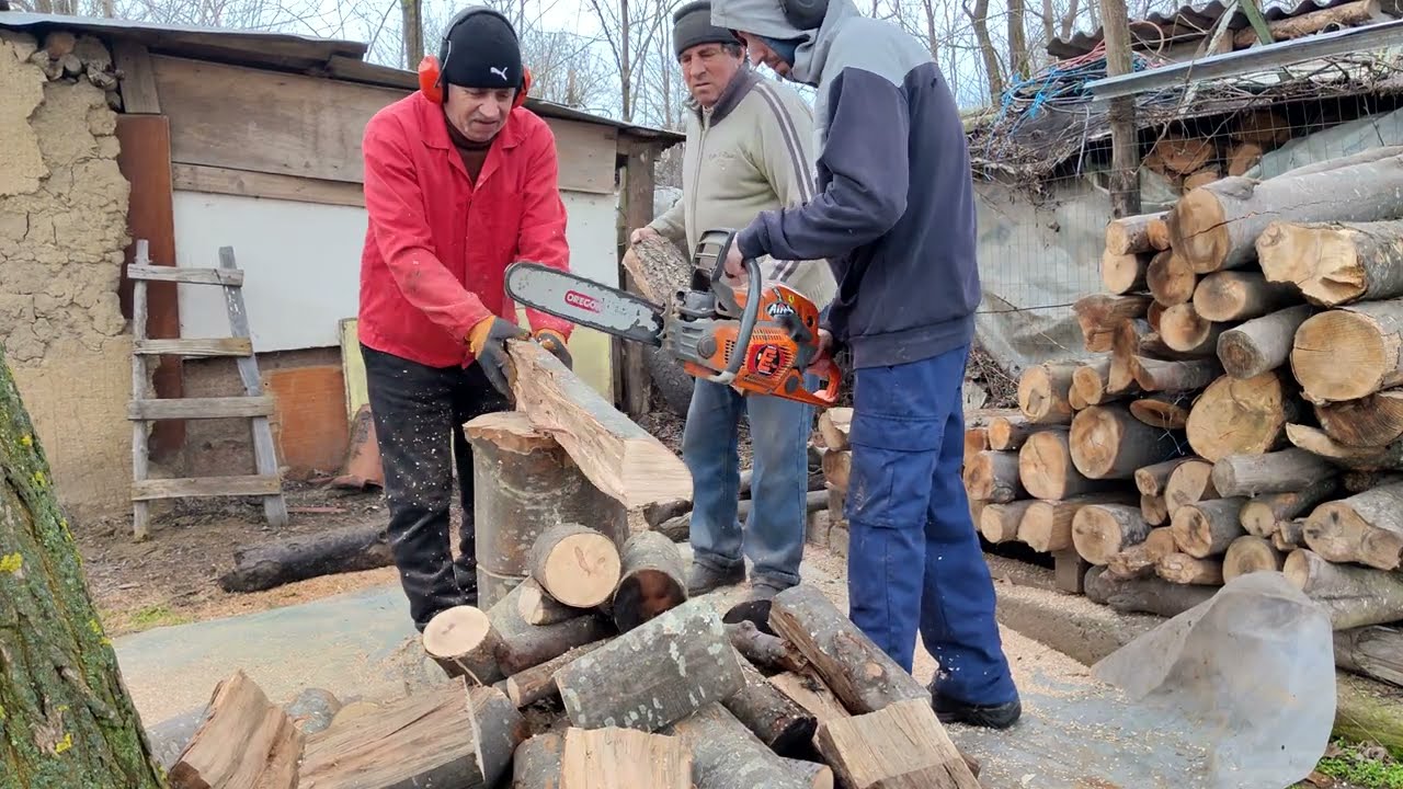 Husqvarna taie cu greu ultimele lemne de fag