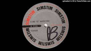 Simstim - Terror