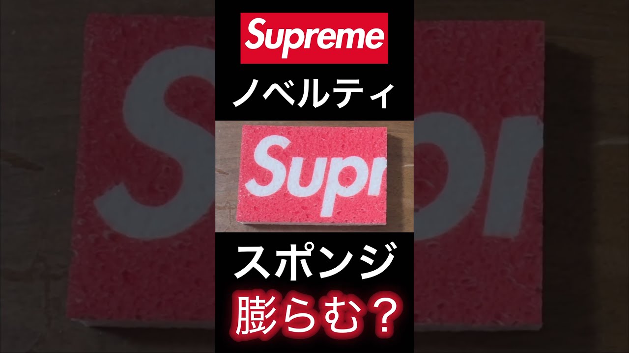 10個 Supreme 25ss PopUp Sponge ノベルティ スポンジ