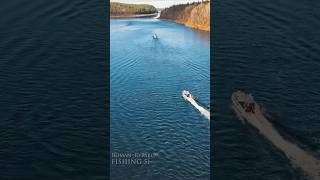 KOLA PENINSULA. FLY FISHING. ATLANTIC SALMON. FISHING 51. #kolapeninsula #fishing #рыбалка #salmon