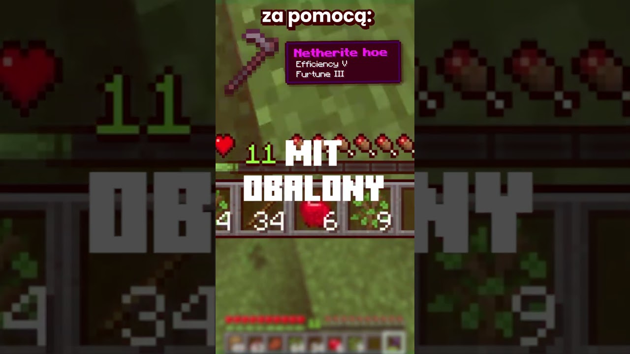 SPRAWDZAM 5 MITÓW w MINECRAFT, w które WIERZYSZ!