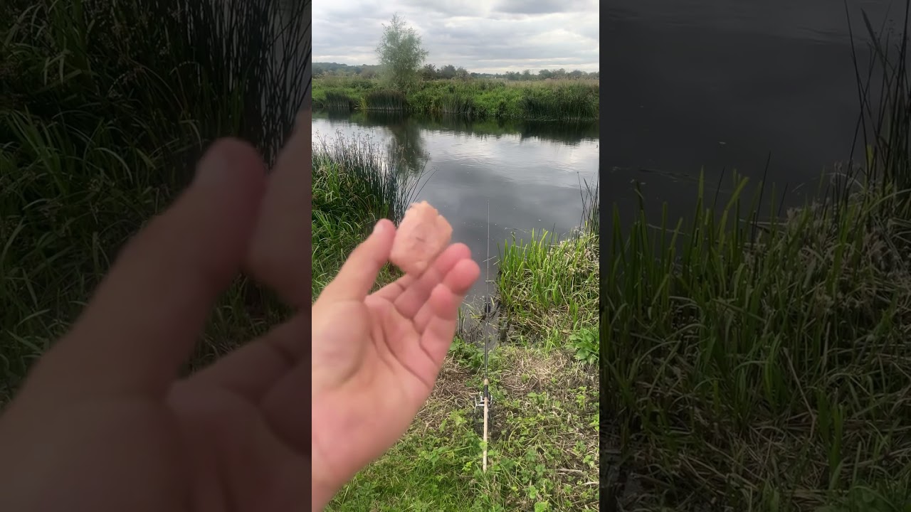 How to catch a big barbel