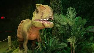 Dinosaur invasion in Raleigh! 'Dinos Alive' immersive experience opens in Raleigh