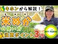 【米ぬかの使い方】畑の肥料として使うときの注意点を基本から解説します！│かっちゃんの有機栽培ｺｰｻﾞ