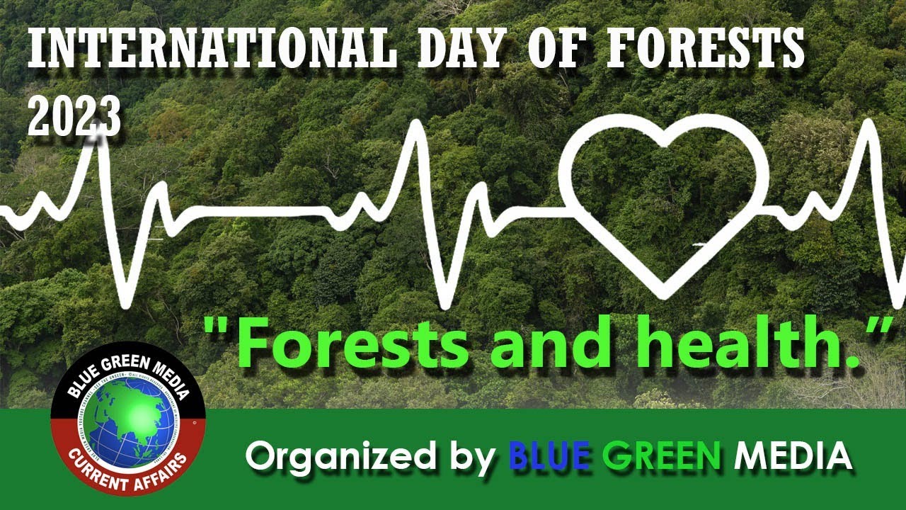 International Day of Forests 2023 - YouTube