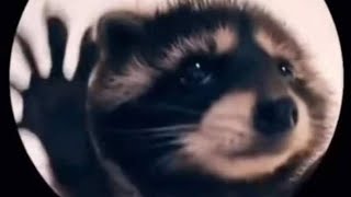 Pedro Pedro Pedro Pe Music