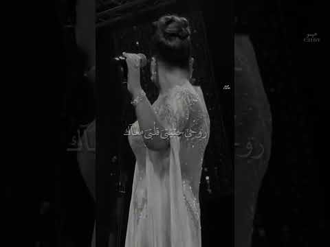 مستنياك بحلم بايوم يرجع هواه اصاله صولا اصالة نصري اغاني اكسبلور 