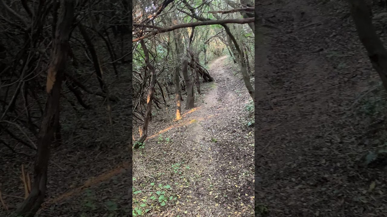 Entrée de la Réserve naturelle des Arbousiers