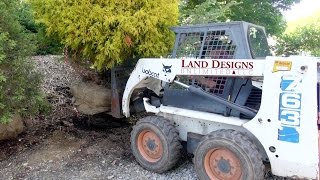 Controls on Bobcat 763 and Planting Gold Mop Chamaecyparis 3.0