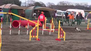 JKC AG3 PISCO 2015.12.12