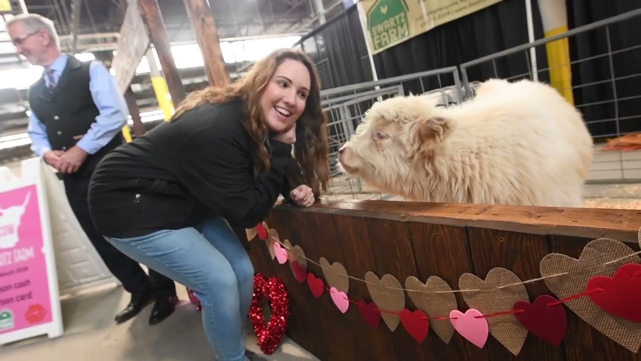 maxresdefault.jpg?sqp=-