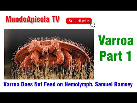 Varroa Does Not Feed on Hemolymph. Samuel Ramsey . Part 1