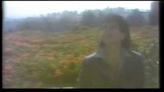 Face To Face.mp4