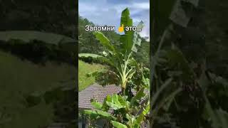 #цитаты#жизнь #shortvideo#психологияжизни#ведьма