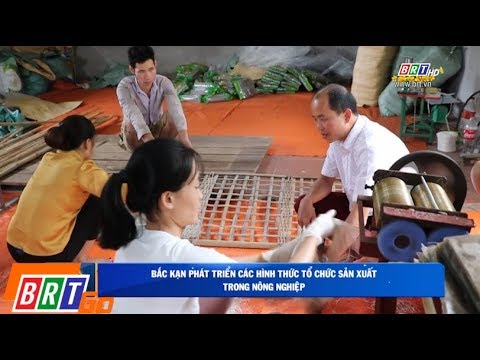 Video: Các Hình Thức Tổ Chức Sản Xuất Xã Hội