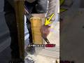 北欧の家が驚くほど暖かいワケ!