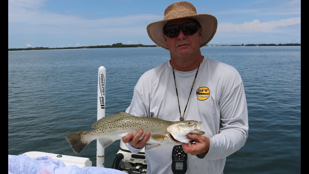 Fishin Tampa Bay for Big Speckled Trout YouTube