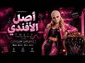 TULIP - أصل الأفندي | مهرجان أصل الأفندي - Official Video 2026