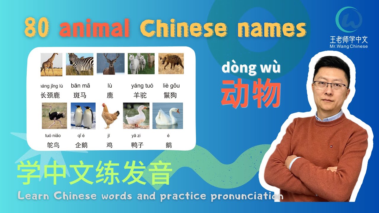 Learn simplified Chinese character Writing with Me 跟我学习写汉字（中文简体字） - YouTube