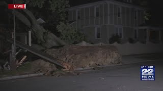 Storm damage cleanup in Springfield could last days