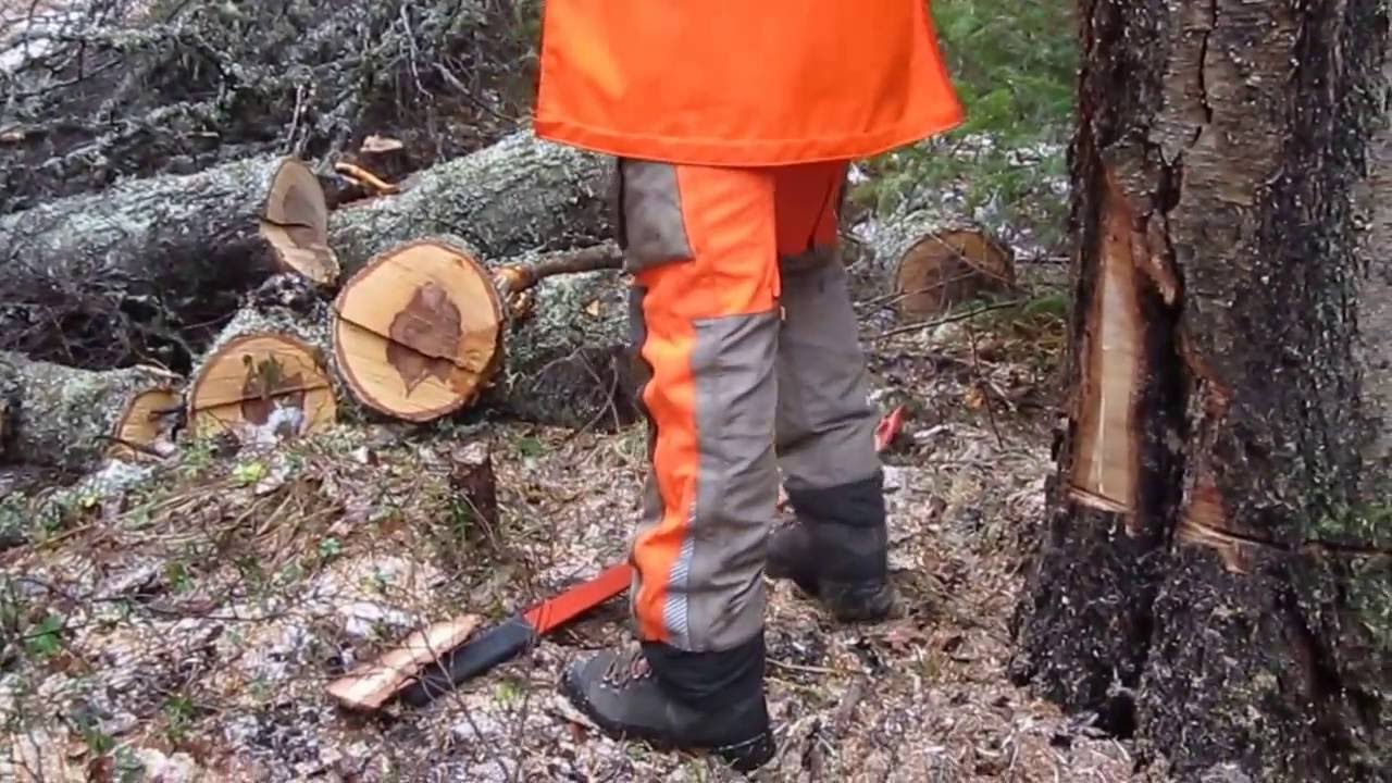 Puu kaatuu aina helpoiten saranan yli, kaatokolon pohjan määritys hieman yli